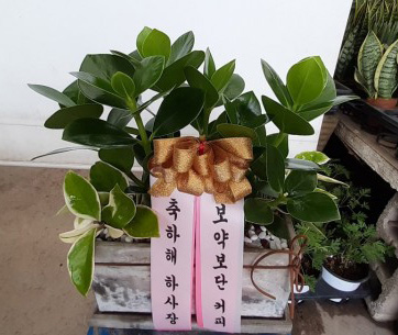 업로드 이미지