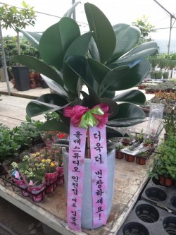 배송사진