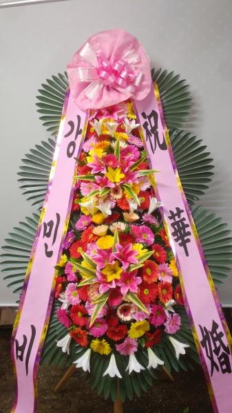 업로드 이미지
