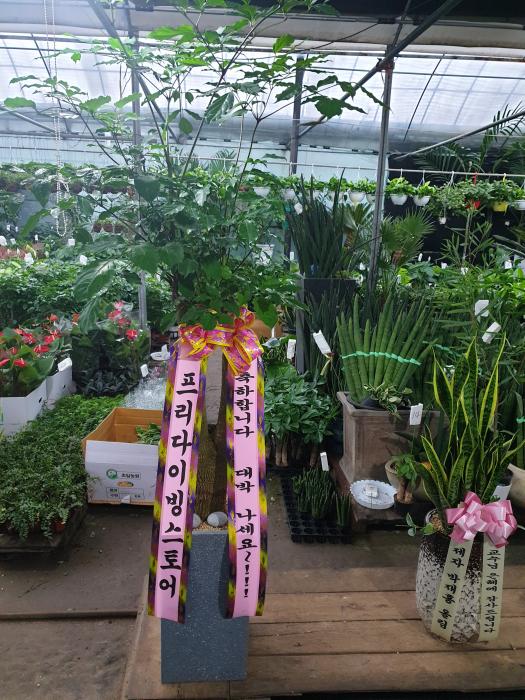 업로드 이미지