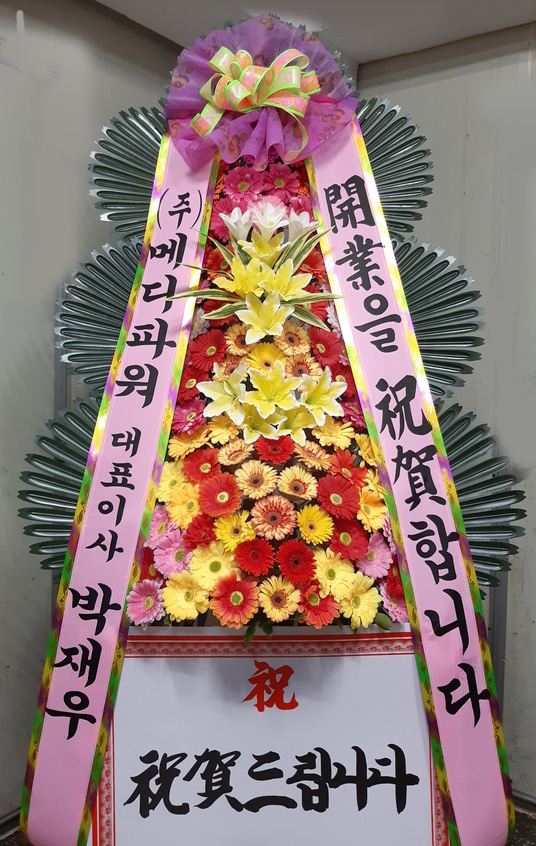 업로드 이미지