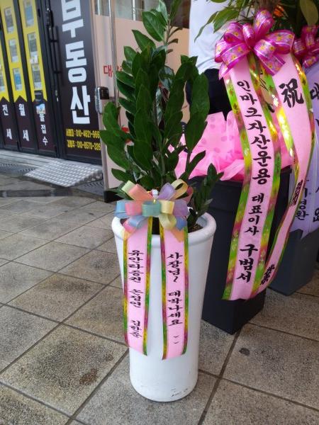 업로드 이미지