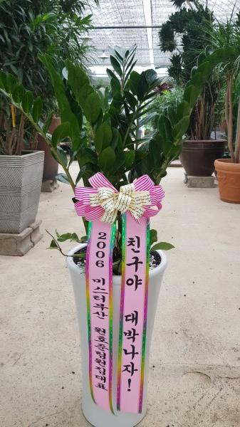 업로드 이미지