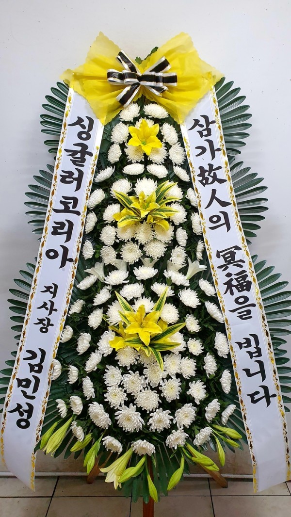 업로드 이미지