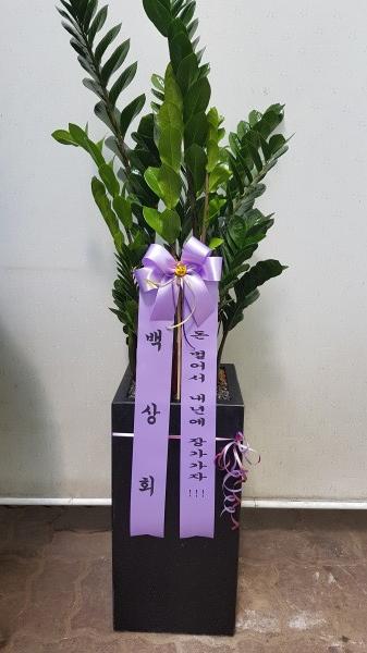 업로드 이미지