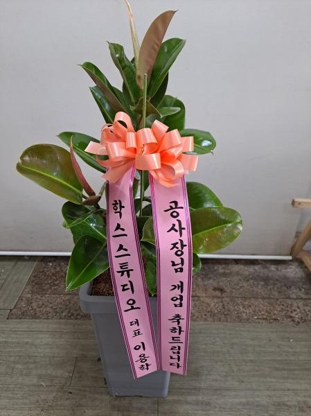 업로드 이미지