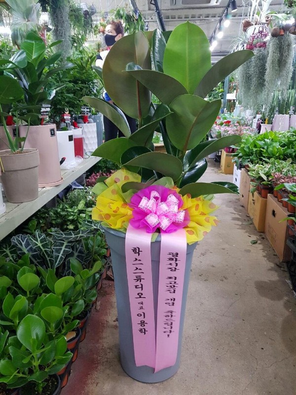 업로드 이미지