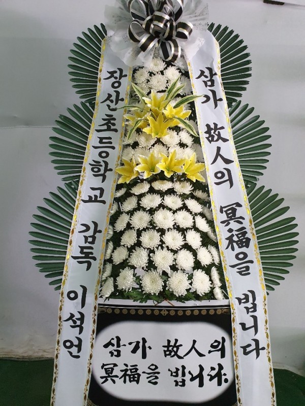 업로드 이미지