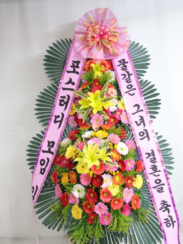 업로드 이미지