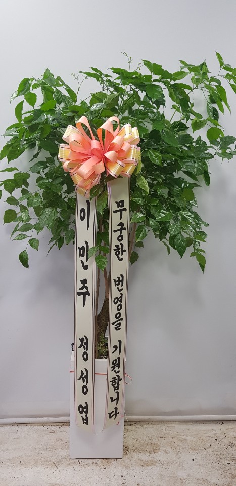 업로드 이미지