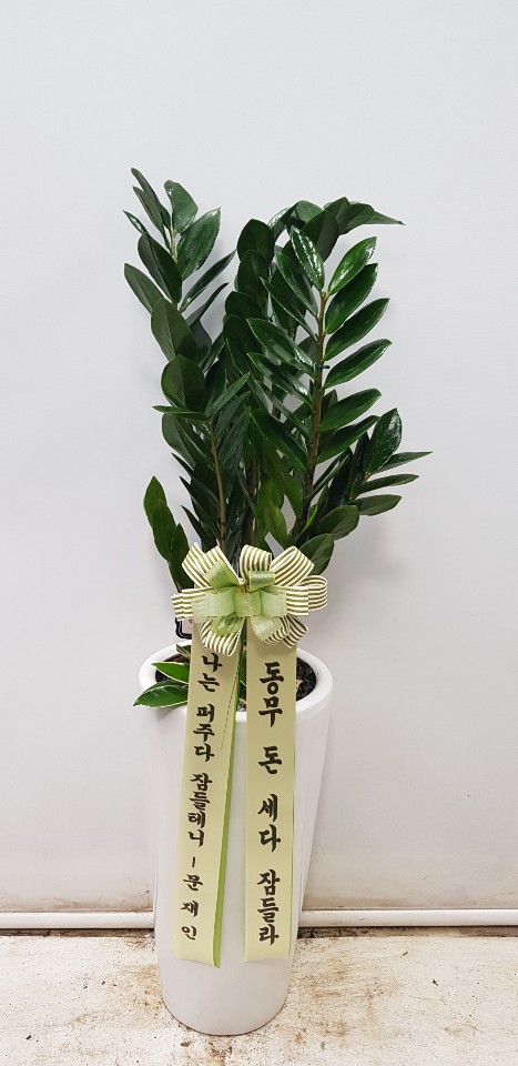 업로드 이미지
