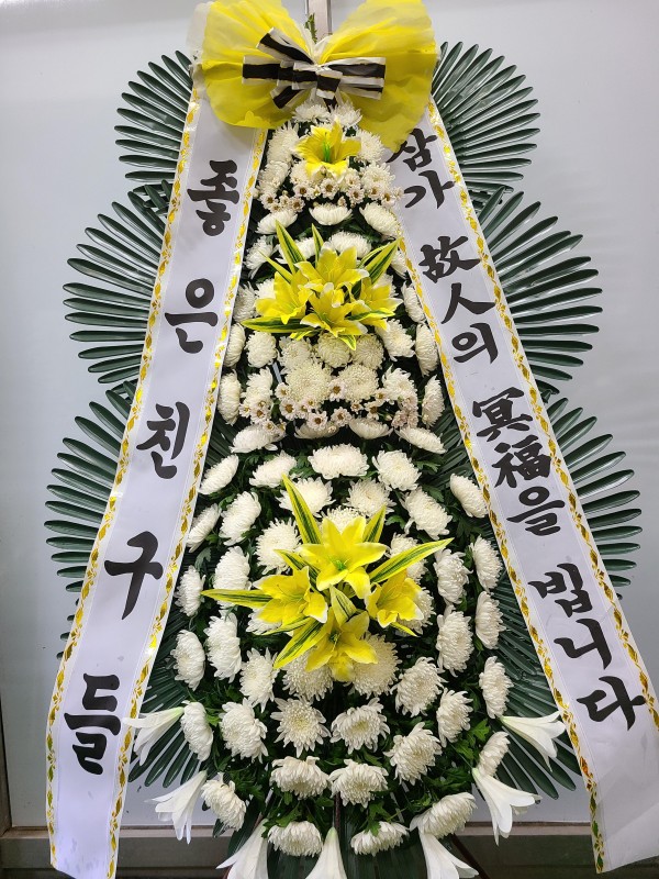업로드 이미지