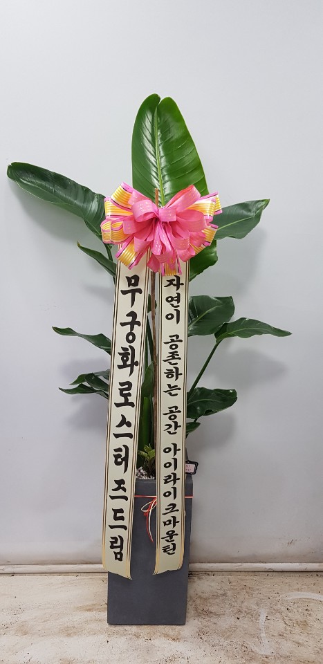 업로드 이미지