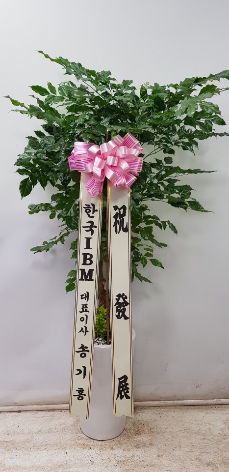 업로드 이미지