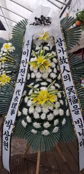 업로드 이미지