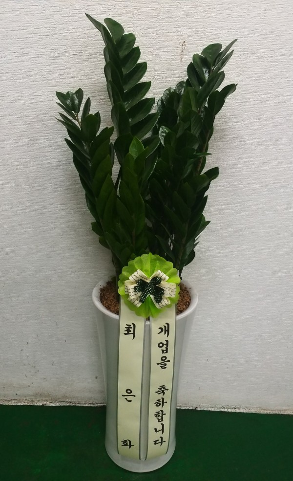 업로드 이미지