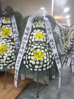 배송사진
