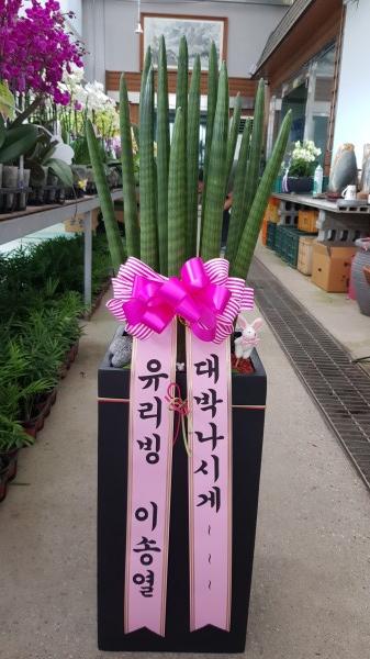 업로드 이미지