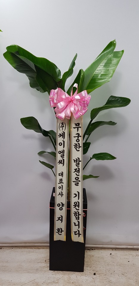 업로드 이미지