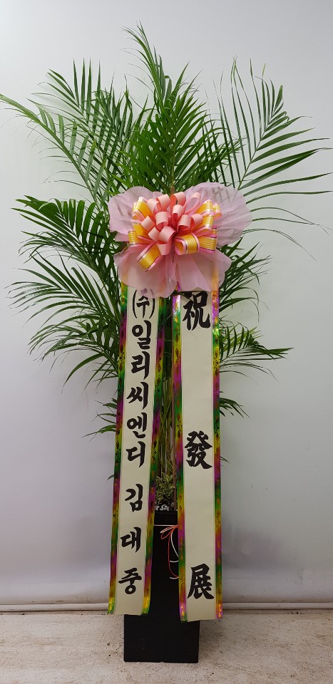 업로드 이미지