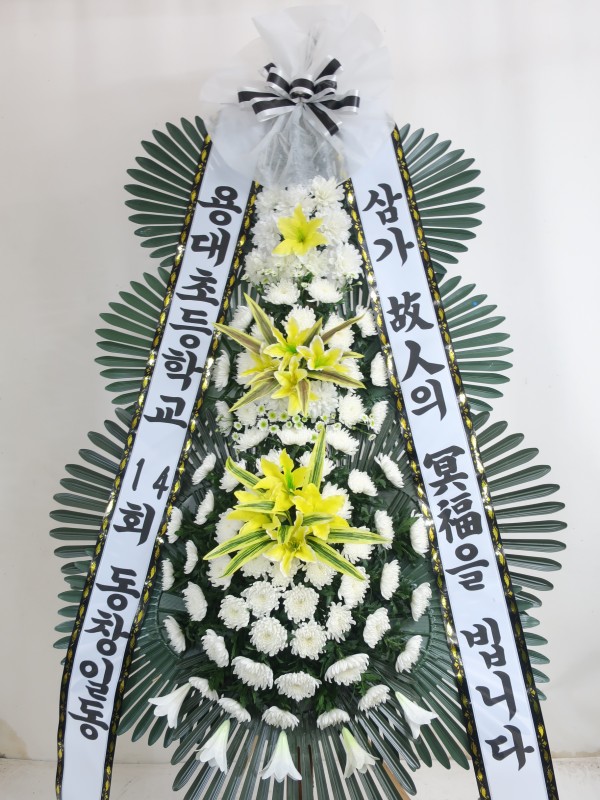 업로드 이미지