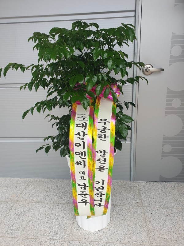 업로드 이미지
