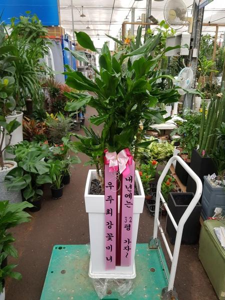 업로드 이미지