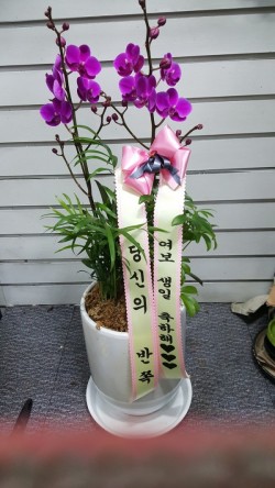 배송사진