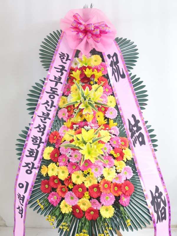 업로드 이미지