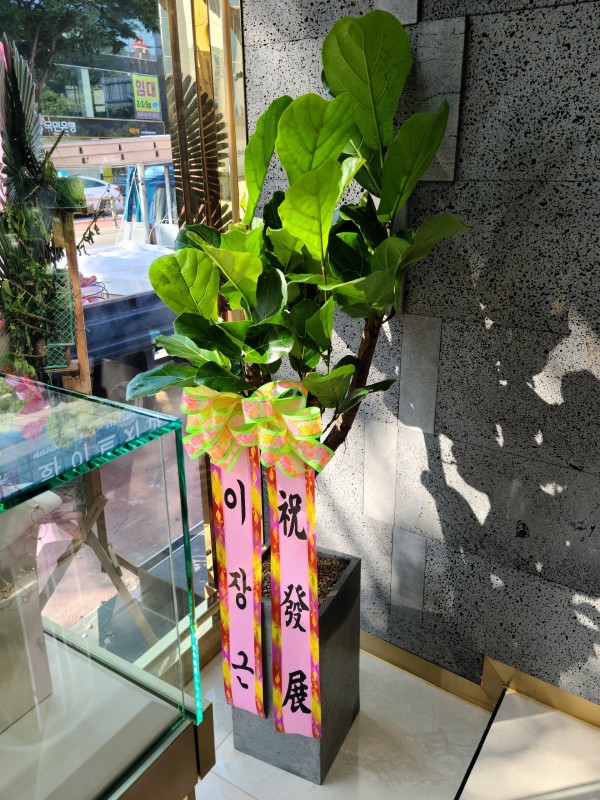 업로드 이미지