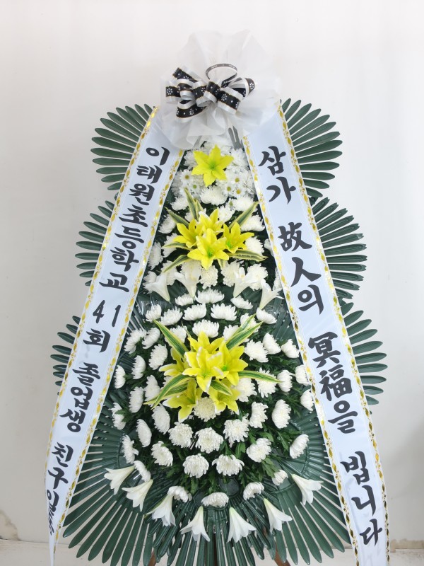 업로드 이미지