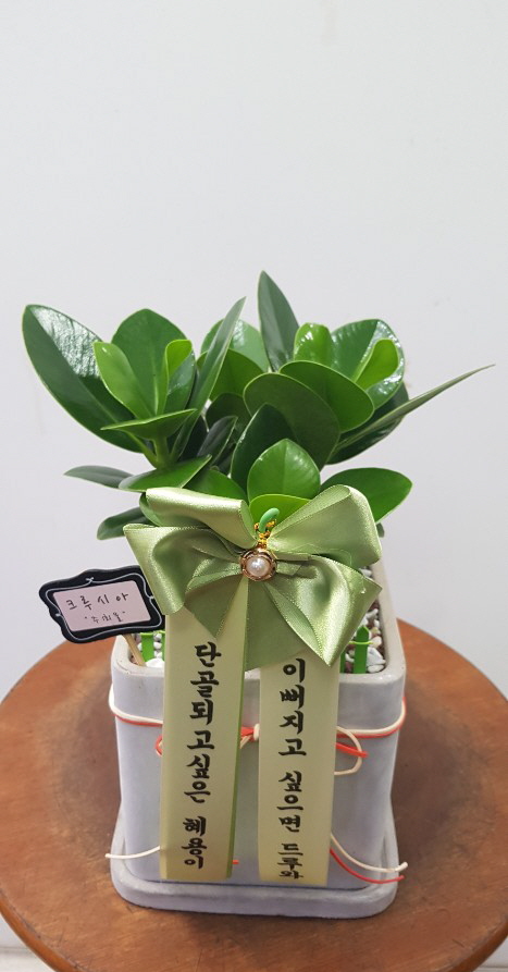 업로드 이미지
