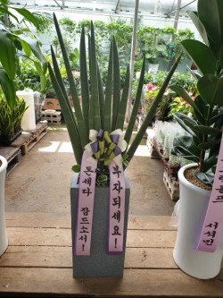 배송사진