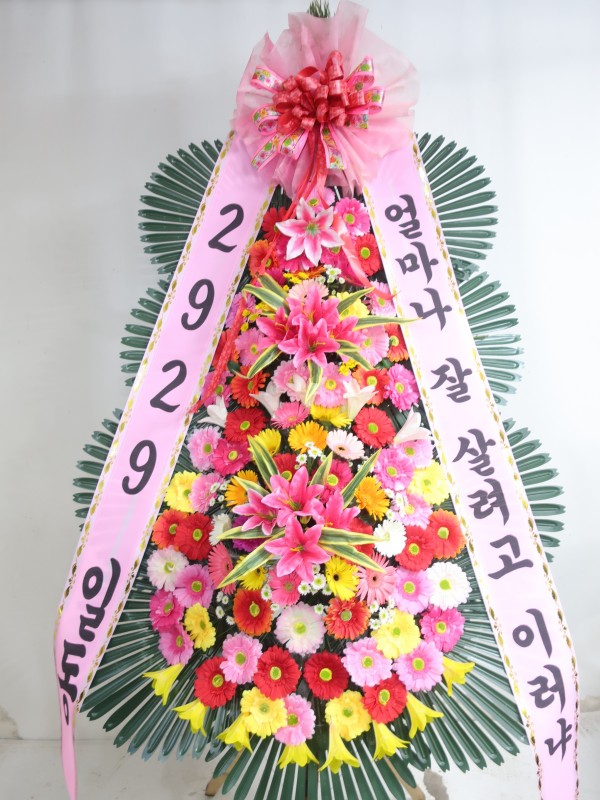 업로드 이미지