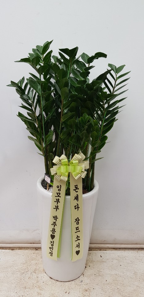 업로드 이미지