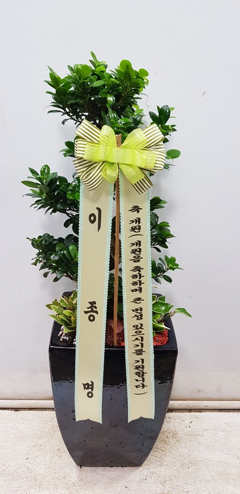 업로드 이미지