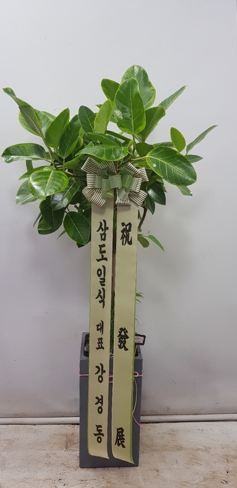 업로드 이미지