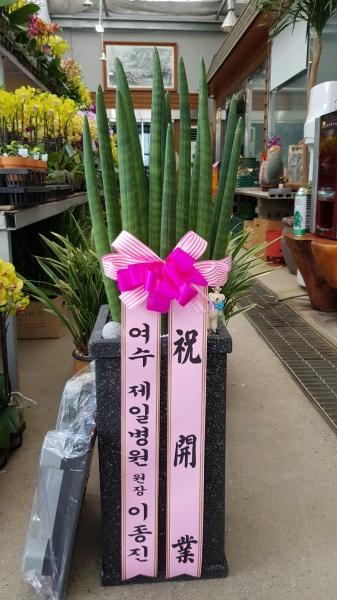 업로드 이미지