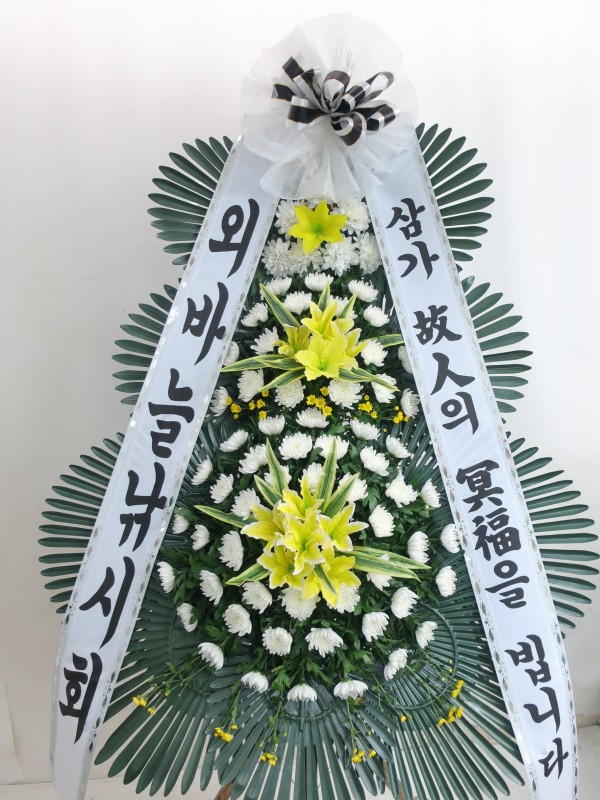 업로드 이미지