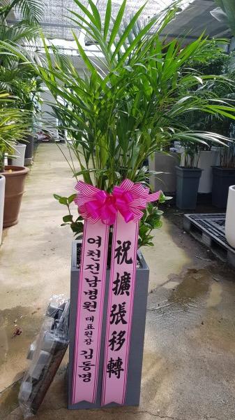 업로드 이미지