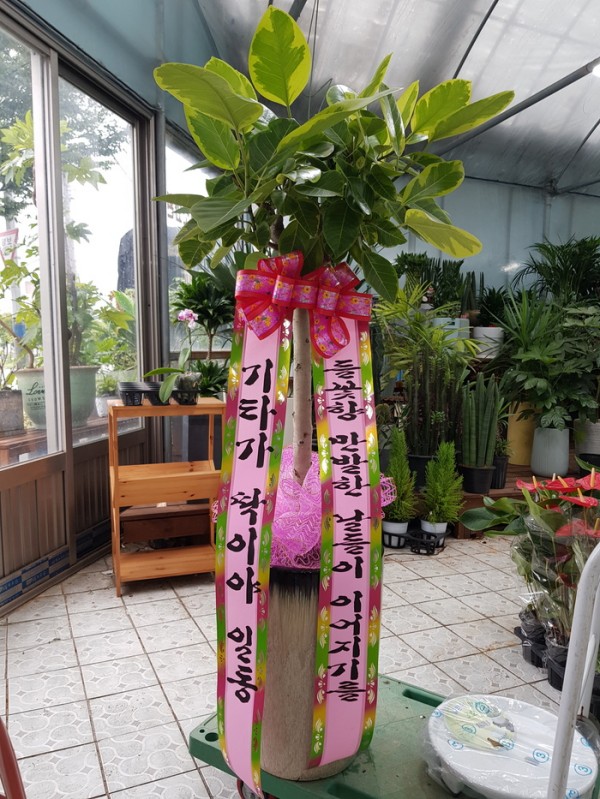 업로드 이미지