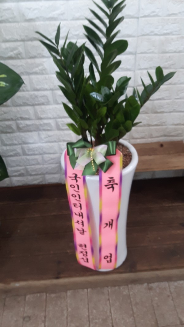 업로드 이미지