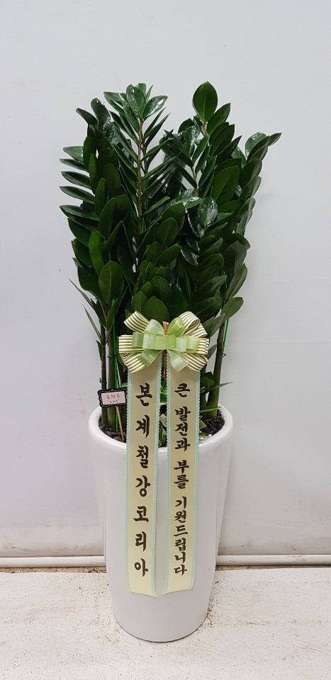 업로드 이미지