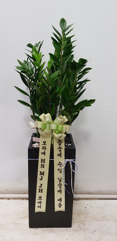 업로드 이미지