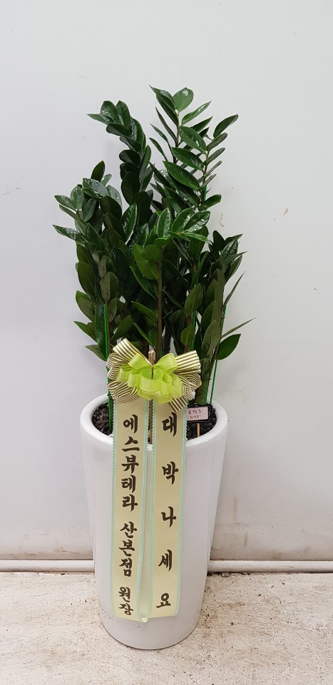 업로드 이미지