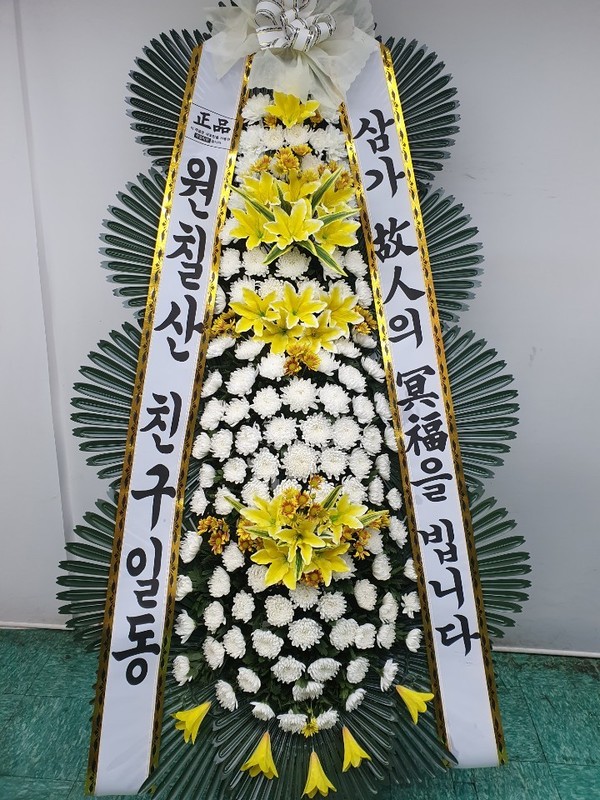 업로드 이미지