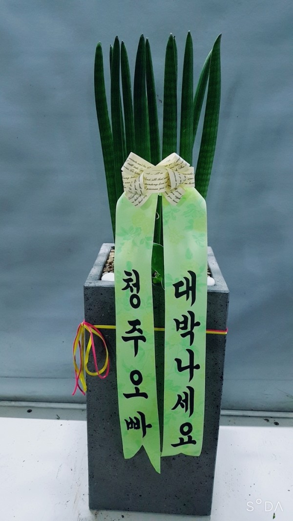 업로드 이미지