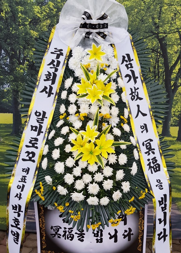 업로드 이미지
