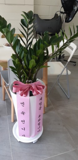 배송사진