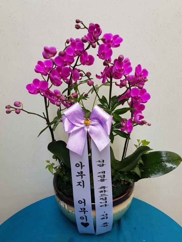 업로드 이미지